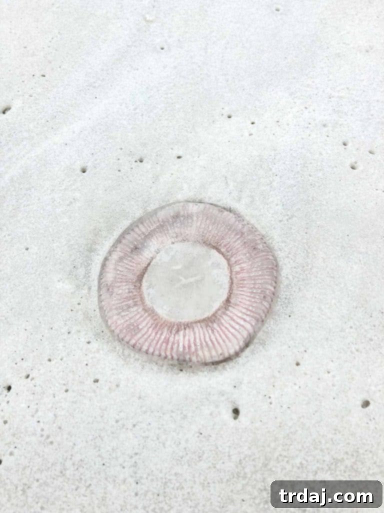 Your Fun Healthy Beach Vacation Blueprint 2 Tips for a fun, healthy beach vacation in Destin