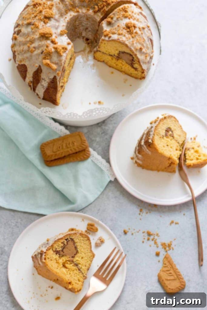 Cookie Butter Coffee Cake