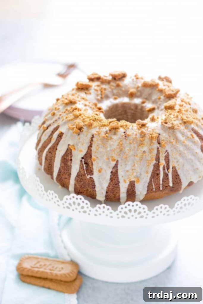 Cookie Butter Coffee Cake