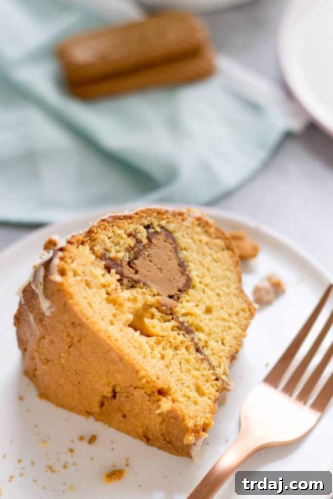 Cookie Butter Coffee Cake