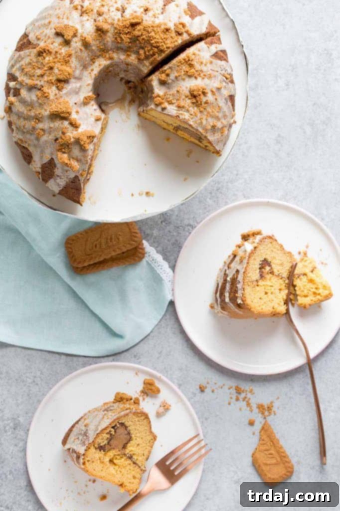 Cookie Butter Coffee Cake