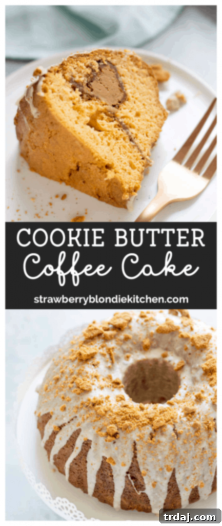 Cookie Butter Coffee Cake
