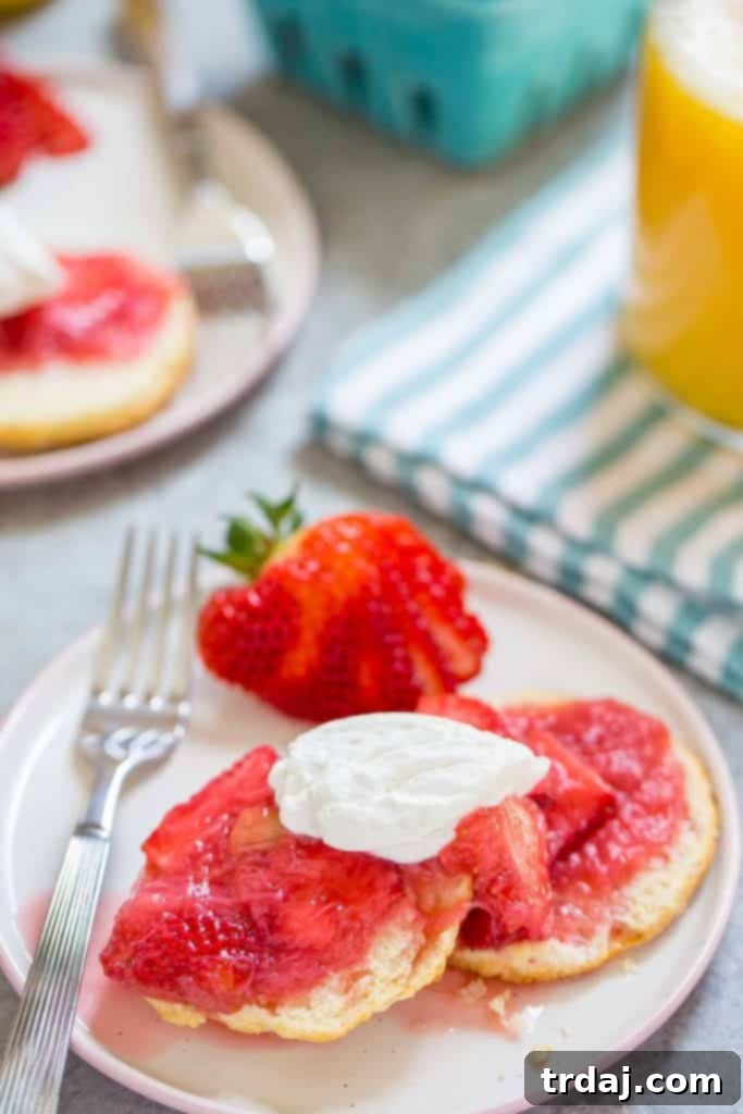 Assembled Strawberry Rhubarb Shortcake with biscuits, sauce, and whipped cream